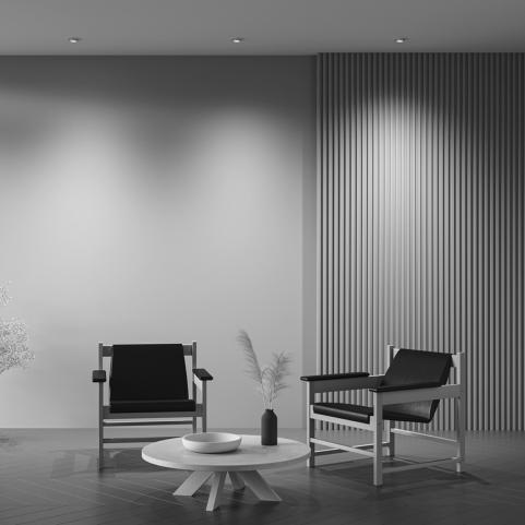 Поворотный светильник Maytoni Hidden 3000K DL045-01-10W3K-W