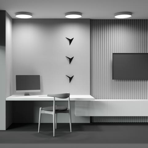 Потолочный светильник Maytoni Technical Ceiling 3000K Zon C032CL-45W3K-RD-MG