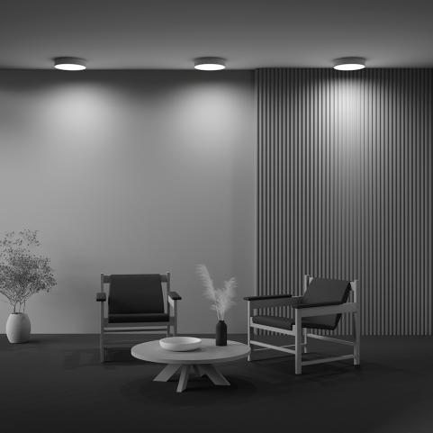 Потолочный светильник Maytoni Technical Ceiling 4000K Zon C032CL-36W4K-RD-MG
