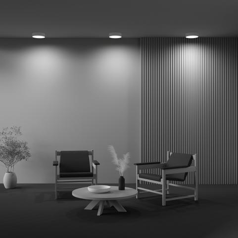 Потолочный светильник Maytoni Technical Ceiling 3000K Zon C032CL-24W3K-RD-W