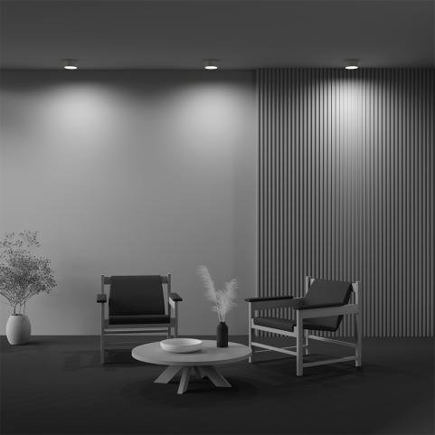 Потолочный светильник Maytoni Technical Ceiling 3000K Zon C032CL-12W3K-RD-MG