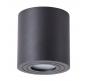 Накладной светильник Arte Lamp Galopin   A1460PL-1BK