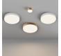 Потолочный светильник Maytoni Technical Ceiling 4000K Zon C032CL-45W4K-RD-MG
