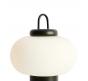 Настольный светильник Freya Take FR6175TL-L10B